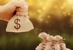 房贷还款额度解析及优化策略探究