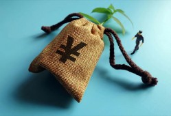 详解信用贷款申请办理流程与步骤