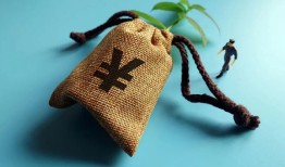 详解信用贷款申请办理流程与步骤